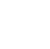 Human Icon