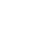Gear Icon
