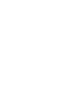 Lightning Icon